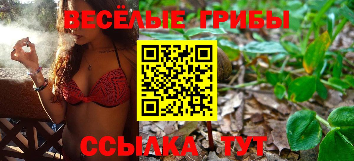 Галлюциногенные грибы Magic Shrooms  Вход с VPN  Когалым 