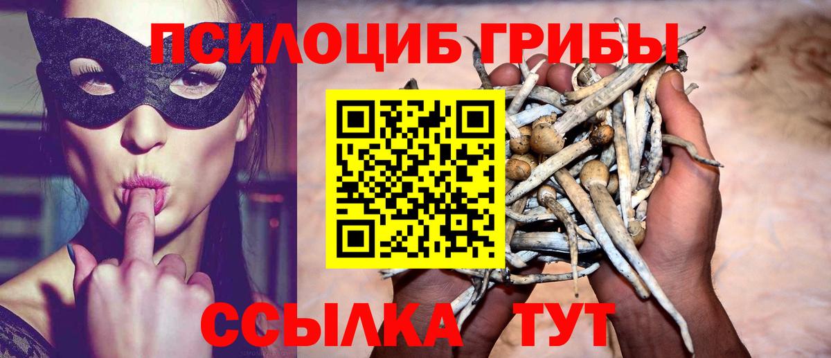 Бошки Шишки  Конопля  ГАШИШ  Меф   Вход с VPN  APVP СОЛЬ кристаллы  Когалым  Гашиш  Cocaine  Магазины продажи наркотиков  ТГК 